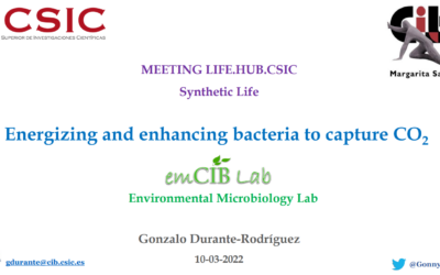 Energizing and enhancing bacteria to capture CO2